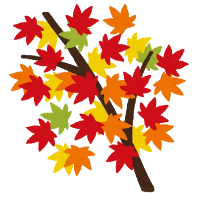 秋到来?🍂