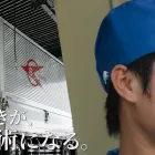 採用情報